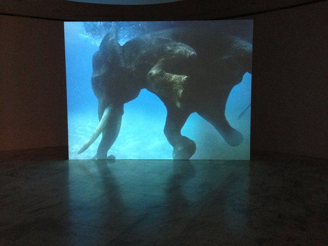 Sheba Chhachhi, The Water Diviner, 2008 Video projection (based on photographs by Umeed Mistry), color, silent, 3 min.