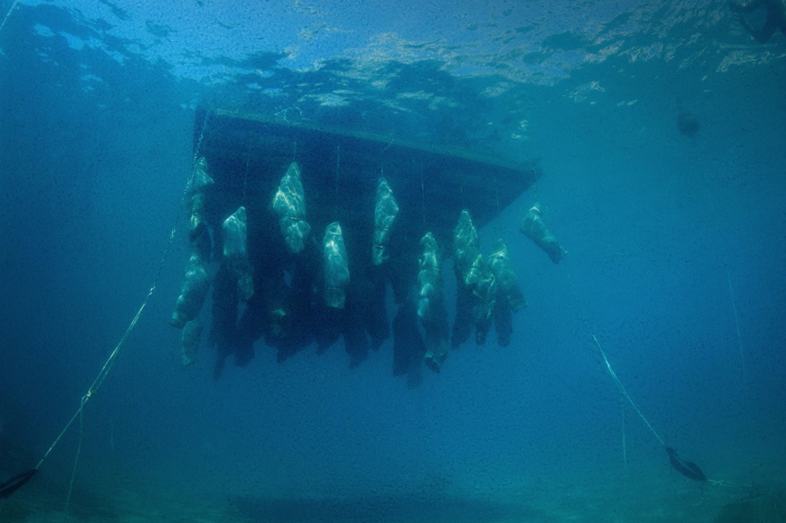 48 sculptures suspended under the raft.