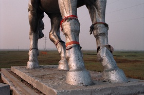 Gulnara Kasmalieva & Muratbek Djumaliev, Untitled (Horse), 2005, colour photo print.