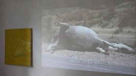 Jasmina Metwaly, The donkey that didn't become a painting, 2011, single channel projection, painting: 110 x 110 cm, video projection: 240 x 130 cm. Installation detail, Cairo Documenta, Cairo, 2012. Courtesy of the artist. 