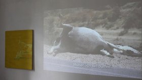Jasmina Metwaly, The donkey that didn't become a painting, 2011, single channel projection, painting: 110 x 110 cm, video projection: 240 x 130 cm. Installation detail, Cairo Documenta, Cairo, 2012. Courtesy of the artist. 