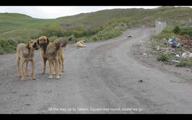 I am the dog that was always here (loop) (screengrab), 2013, Annika Eriksson.