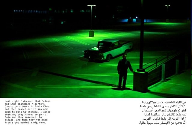 All images by Basel Abbas and Ruanne Abou-Rahme, The Incidental Insurgents, 2012-2013.