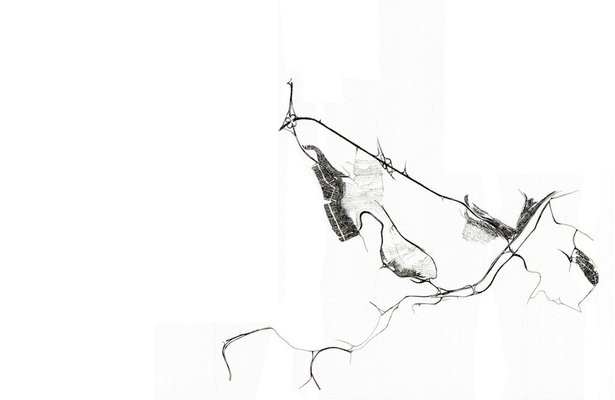 <p>Saba Innab</p><p><em>Untitled</em>, 2011</p><p>Ink on tracing paper</p><p>110 x 70 cm</p><p>Courtesy of the artist</p> 