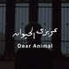 Dear Animal