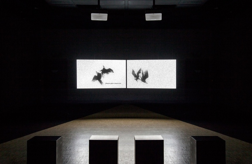 Didem Pekün, Of dice and men, 2011-ongoing.