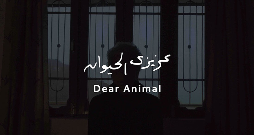 Maha Maamoun, Dear Animal, 2016. Film still, 25:30 mins