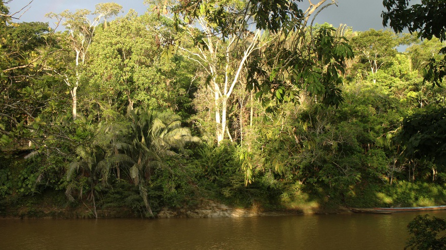 Ursula Biemann and Paulo Tavares, Forest Law, 2014, film still.
