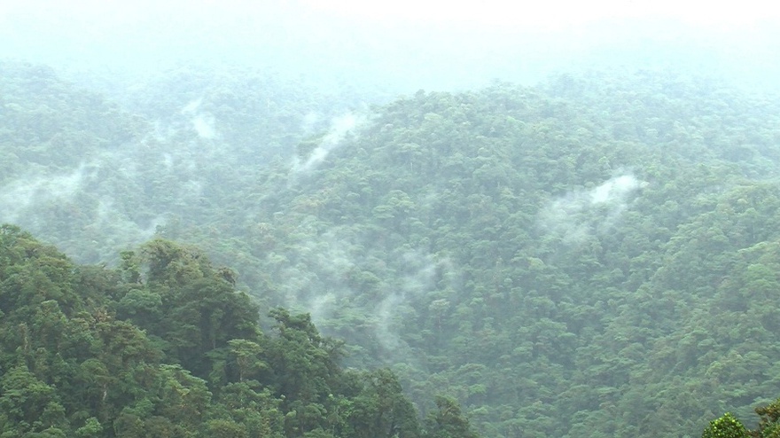 Ursula Biemann and Paulo Tavares, Forest Law, 2014, film still.