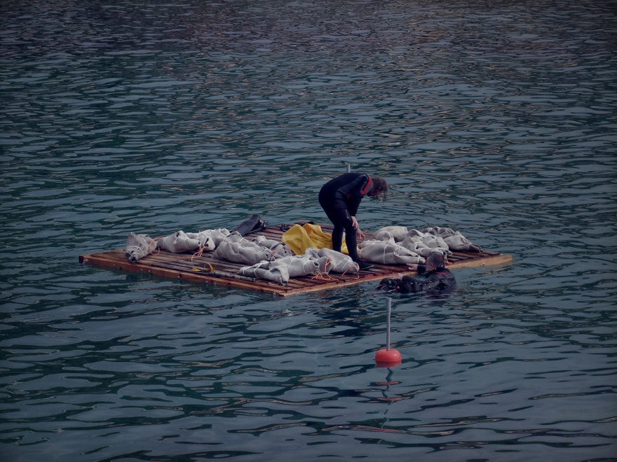 Sculptures are positioned under the raft.