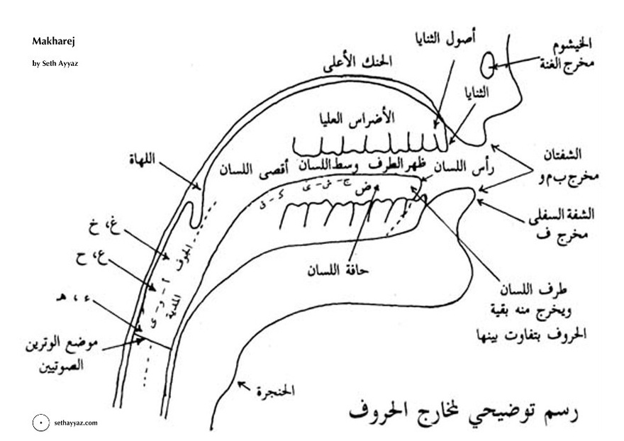 Seth Ayyaz, Makharej: The Places of Articulation, 2009. Stereo, fixed electroacoustic, 23:55 duration. Electronics and voice featuring vocal body: Amira Ghazalla.