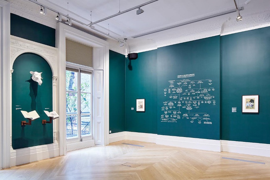 Installation view, Katia Kameli, Stream of Stories, 2016, Mosaic Rooms, London.